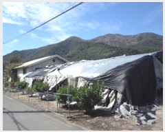  2024Ÿ��2239  ���ð��