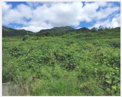  2024Ÿ��2314 �泲 �о�� �곻�� ������ 260-2      ����(��)���