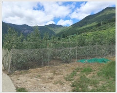  2024Ÿ��2314 �泲 �о�� �곻�� ������ 260-2      ����(��)���