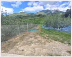  2024Ÿ��2314 �泲 �о�� �곻�� ������ 260-2      ����(��)���