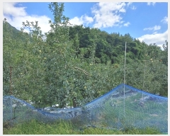  2024Ÿ��2314 �泲 �о�� �곻�� ������ 260-2      ����(��)���