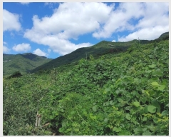  2024Ÿ��2314 �泲 �о�� �곻�� ������ 260-2      ����(��)���