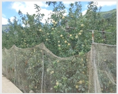  2024Ÿ��2314 �泲 �о�� �곻�� ������ 260-2      ����(��)���