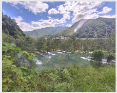  2024Ÿ��2314 �泲 �о�� �곻�� ������ 260-2      ����(��)���