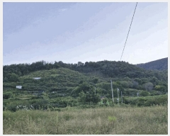  2024Ÿ2406 泲 о 󳲸 긮 17-16      (Ӿ)