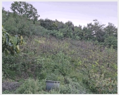  2024Ÿ2406 泲 о 󳲸 긮 17-16      (Ӿ)