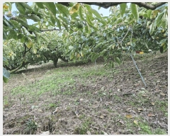  2024Ÿ2406 泲 о 󳲸 긮 17-16      (Ӿ)