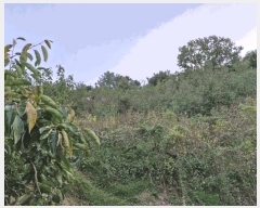  2024Ÿ2406 泲 о 󳲸 긮 17-16      (Ӿ)