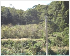  2024Ÿ2444 泲 о 곻  603      ()