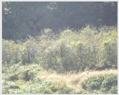  2024Ÿ2444 泲 о 곻  603      ()