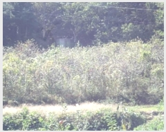  2024Ÿ2444 泲 о 곻  603      ()