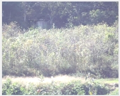  2024Ÿ2444 泲 о 곻  603      ()