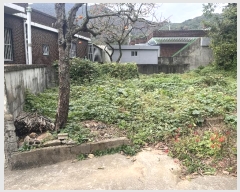  2024Ÿ��2468  �������