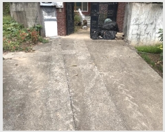  2024Ÿ��2468  �������