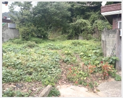  2024Ÿ��2468  �������