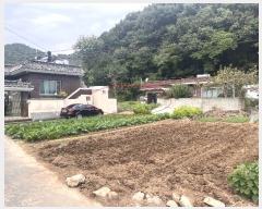  2024Ÿ��2468  �������