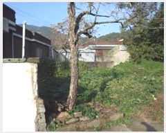  2024Ÿ��2468  �������