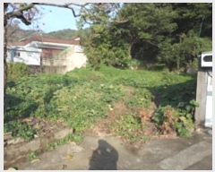  2024Ÿ��2468  �������