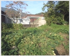  2024Ÿ��2468  �������