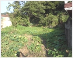  2024Ÿ��2468  �������