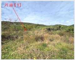  2024Ÿ2499 泲 о   659      (1)