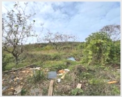  2024Ÿ2499 泲 о   659      (1)