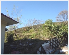  2024Ÿ2499 泲 о   659      (1)