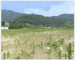  2024Ÿ2529 泲 о  ¸ 576      ()