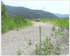  2024Ÿ2529 泲 о  ¸ 576      ()