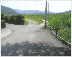  2024Ÿ2529 泲 о  ¸ 576      ()