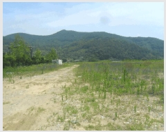  2024Ÿ2529 泲 о  ¸ 576      ()