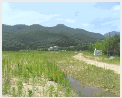  2024Ÿ2529 泲 о  ¸ 576      ()