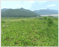  2024Ÿ2529 泲 о  ¸ 576      ()