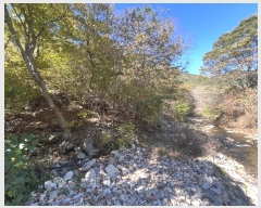  2024Ÿ2581 泲 о  õ 2276      õ