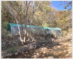  2024Ÿ2581 泲 о  õ 2276      õ