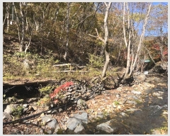  2024Ÿ2581 泲 о  õ 2276      õ