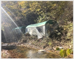  2024Ÿ2581 泲 о  õ 2276      õ