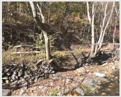  2024Ÿ2581 泲 о  õ 2276      õ