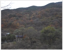  2024Ÿ2581 泲 о  õ 2276      õ