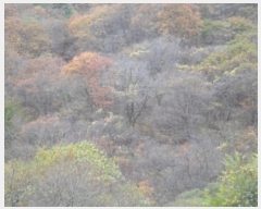  2024Ÿ2581 泲 о  õ 2276      õ