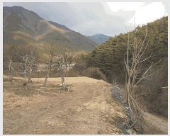  2024Ÿ2673 泲 о 곻  113-11      (Ӿ)