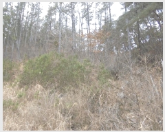  2024Ÿ2673 泲 о 곻  113-11      (Ӿ)