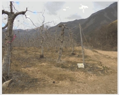  2024Ÿ2673 泲 о 곻  113-11      (Ӿ)