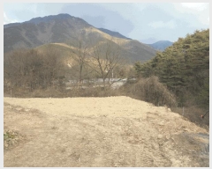  2024Ÿ2673 泲 о 곻  113-11      (Ӿ)