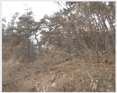  2024Ÿ2673 泲 о 곻  113-11      (Ӿ)