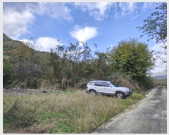  2024Ÿ2765 泲 о û ⸮ 1246      ()