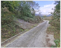  2024Ÿ2765 泲 о û ⸮ 1246      ()