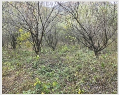  2024Ÿ2765 泲 о û ⸮ 1246      ()