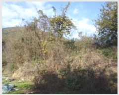  2024Ÿ2765 泲 о û ⸮ 1246      ()