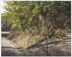  2024Ÿ2765 泲 о û ⸮ 1246      ()